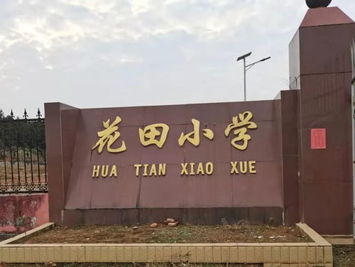 民盟宜丰中学支部 送教下乡暖童心，书香筑梦助成长