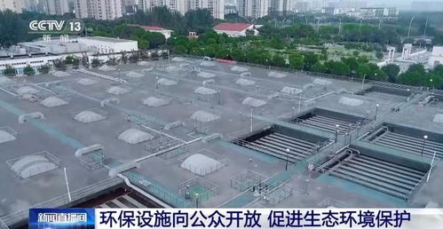 漫画爱好者的设计天堂 如何在宜丰设计服务中打造个性化体验